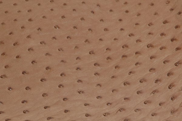 Ostrich Leather Hide Genuine Ostrich Leather Tanned Skin Grade 